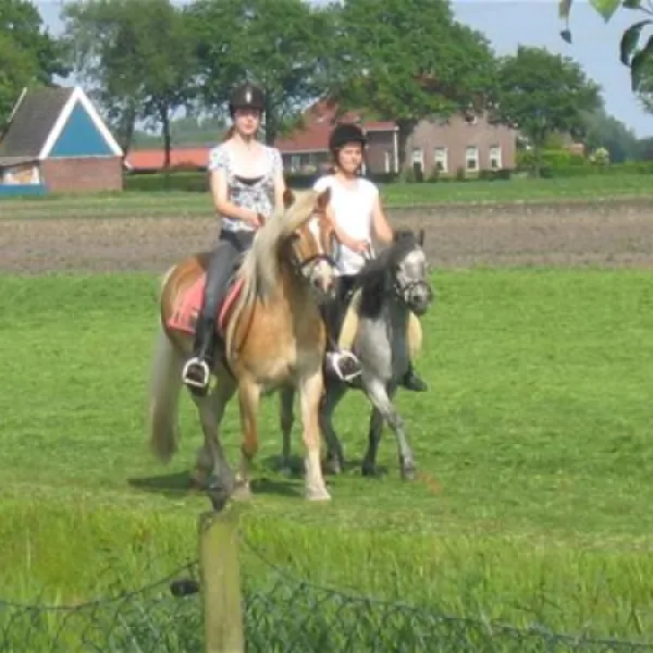 camping-musselkanaal-musselkanaal-nx9tj