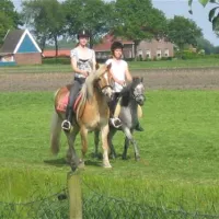 Camping Musselkanaal