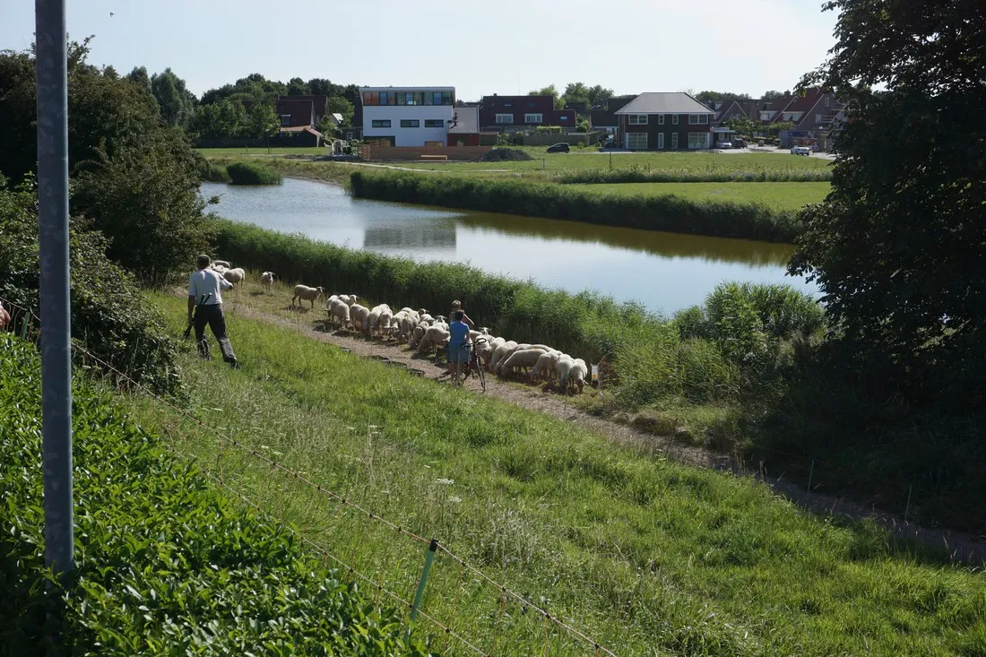 mini-camping-veldzicht-lewedorp-a0fpl