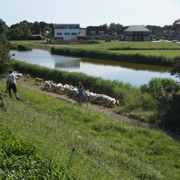 mini-camping-veldzicht-lewedorp-a0fpl