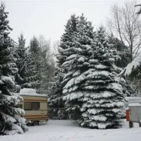 campingplatz-glockenheide-rtgesbttel-ddtvw