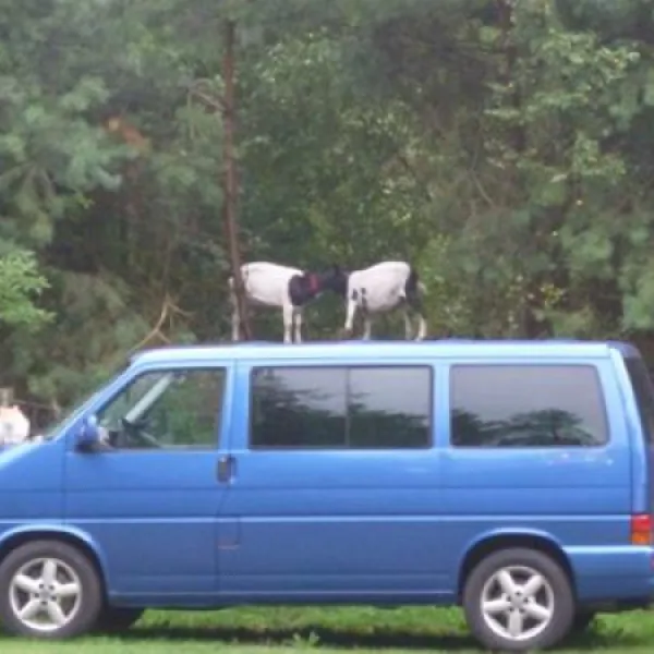 campingplatz-glockenheide-rtgesbttel-i7kuu