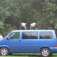 campingplatz-glockenheide-rtgesbttel-i7kuu