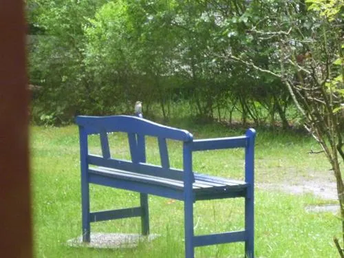 campingplatz-glockenheide-rtgesbttel-qempq