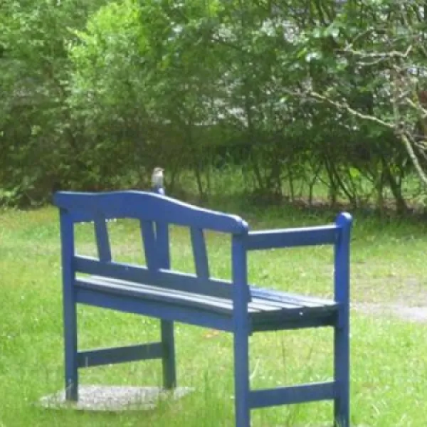 campingplatz-glockenheide-rtgesbttel-qempq