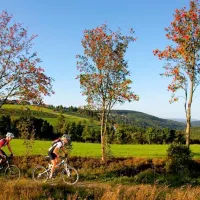 camping-und-ferienpark-brilon-brilon-4ql8s