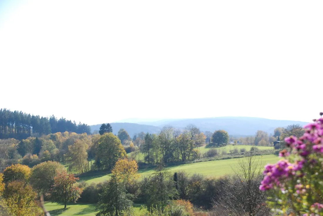 camping-und-ferienpark-brilon-brilon-ddzri