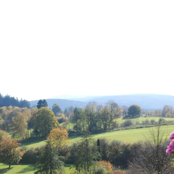 camping-und-ferienpark-brilon-brilon-ddzri