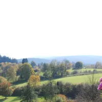 camping-und-ferienpark-brilon-brilon-ddzri