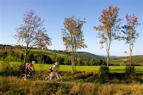 camping-und-ferienpark-brilon-brilon-hktml