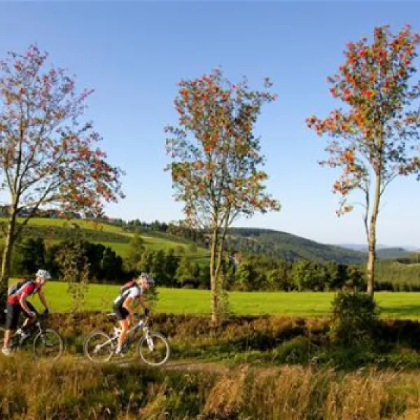 camping-und-ferienpark-brilon-brilon-hktml