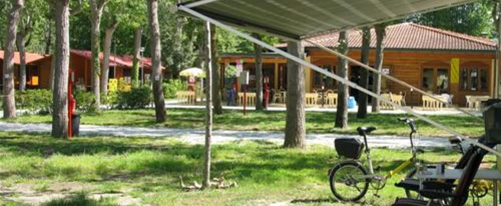 Camping Viareggio