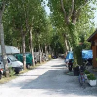 camping-viareggio-viareggio-5zdai