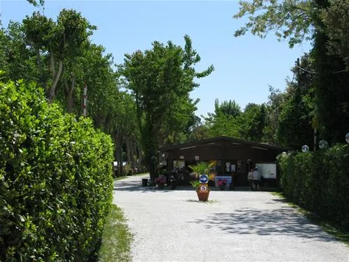 camping-viareggio-viareggio-hyxzm