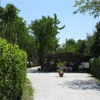 camping-viareggio-viareggio-hyxzm