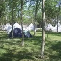 Camping Viareggio