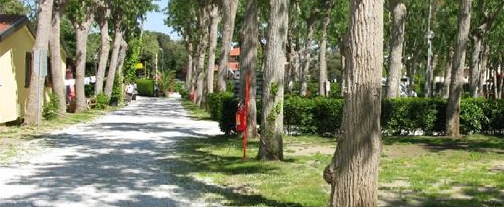 Camping Viareggio