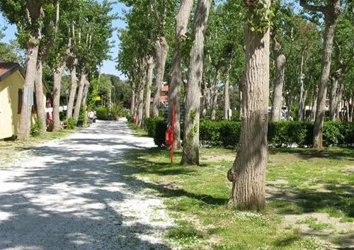 camping-viareggio-viareggio-xrocb