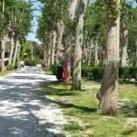 camping-viareggio-viareggio-xrocb