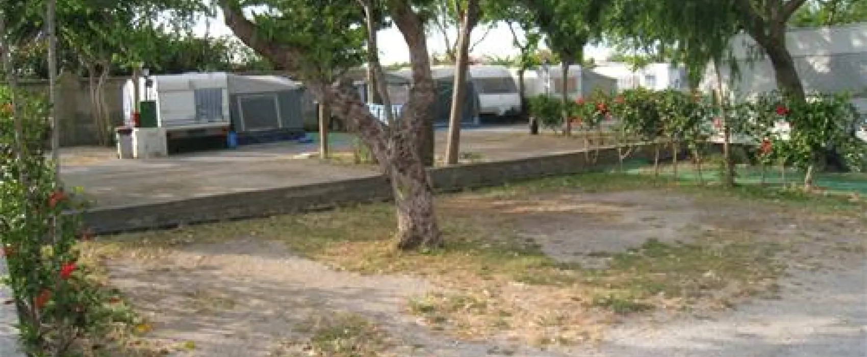 Camping Don Cactus