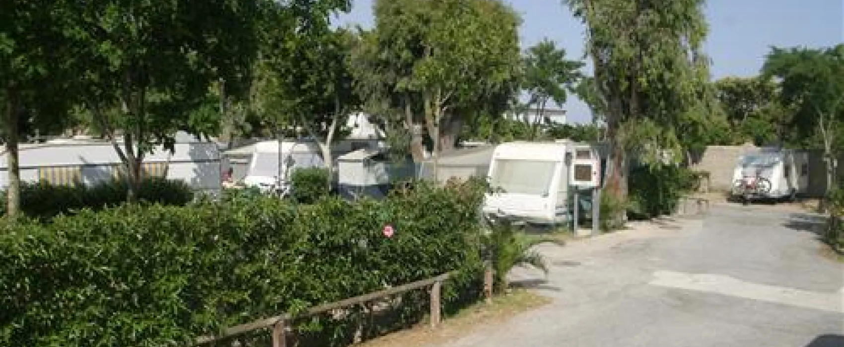 Camping Don Cactus