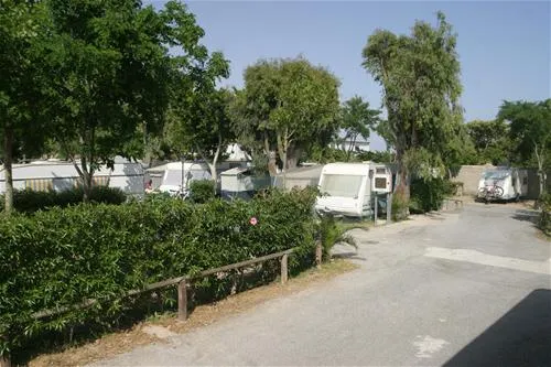 camping-don-cactus-carchuna-rrl5b