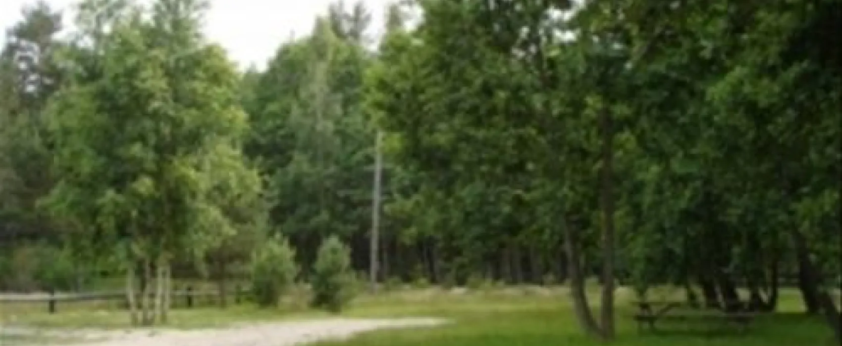 Camp Pitagi
