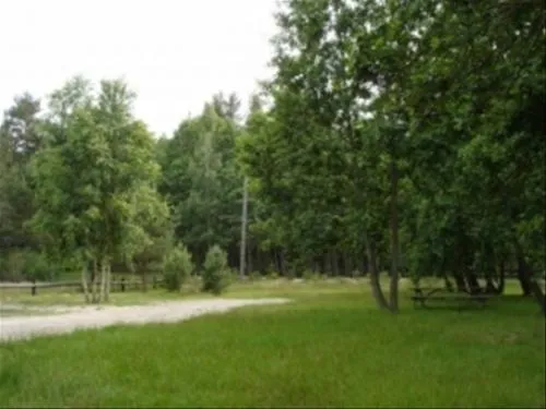 camp-pitagi-dundagas-novads-uua49