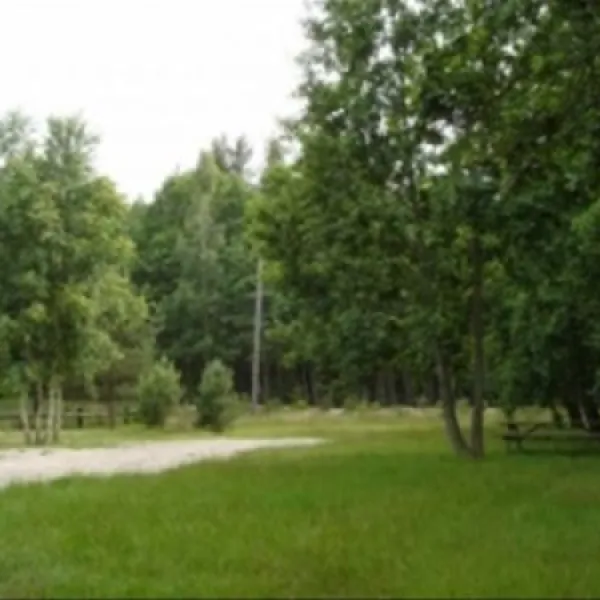 Camp Pitagi