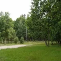 Camp Pitagi