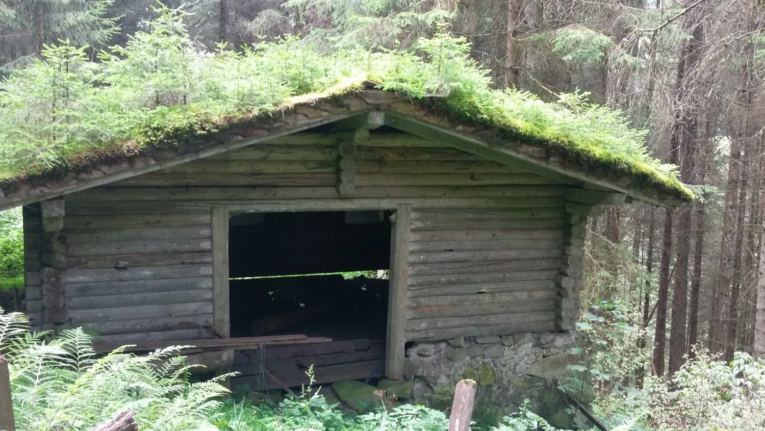 hollersbacher-dorfcamping-hollersbach-d0wpb