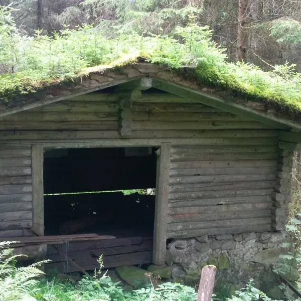 hollersbacher-dorfcamping-hollersbach-d0wpb