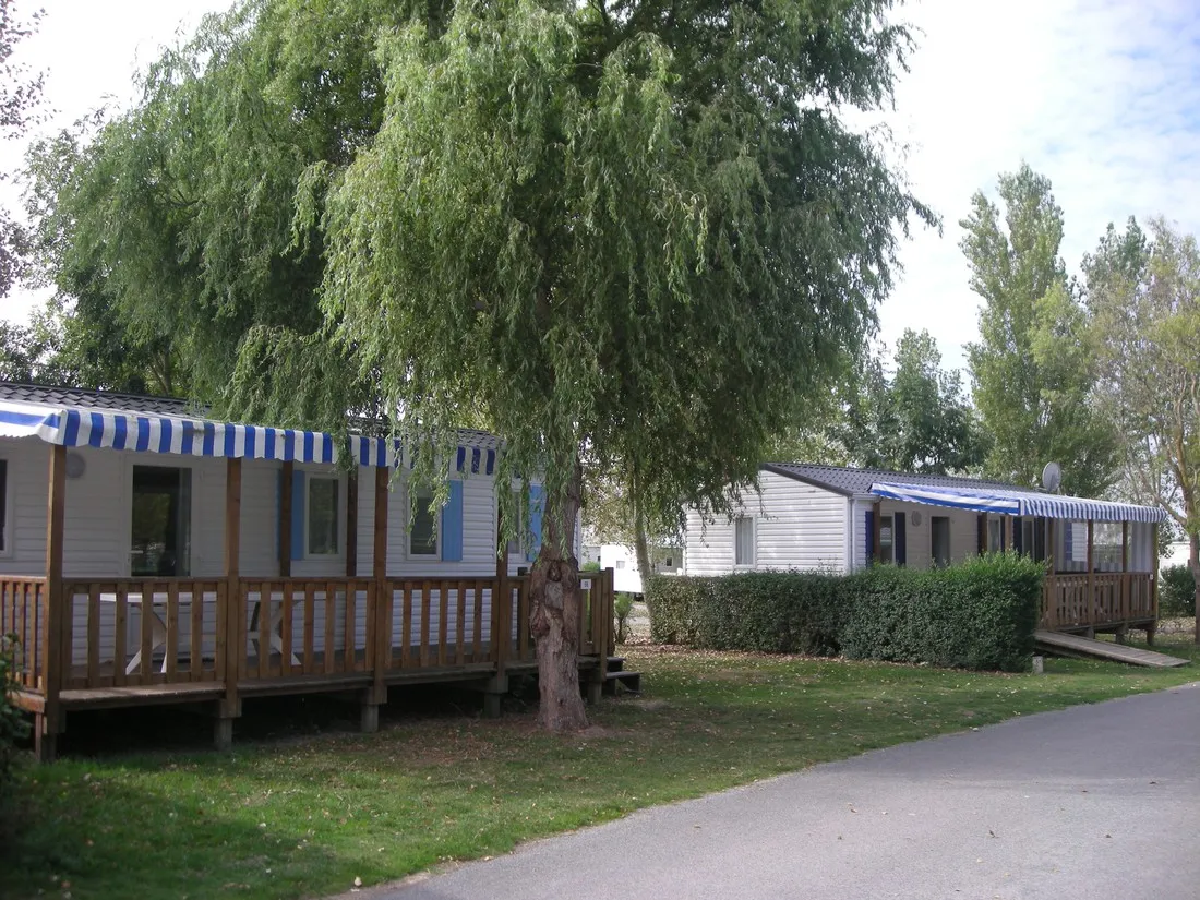 flower-camping-le-clos-cottet-angles-arbde