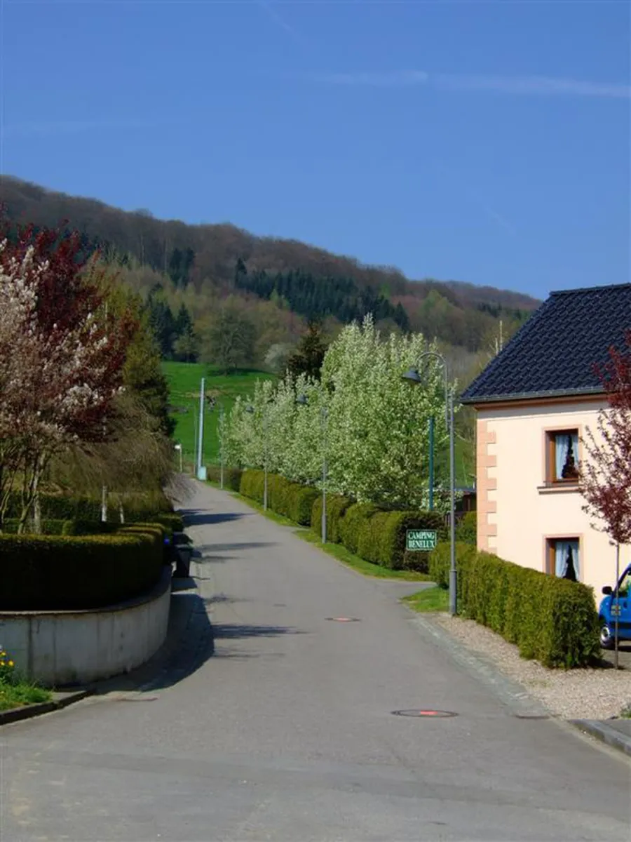 camping-benelux-dillingen-8p90k