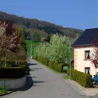 camping-benelux-dillingen-8p90k