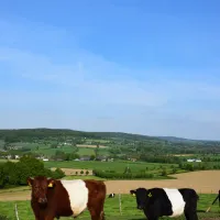 oosterberg-epen-vdjtm