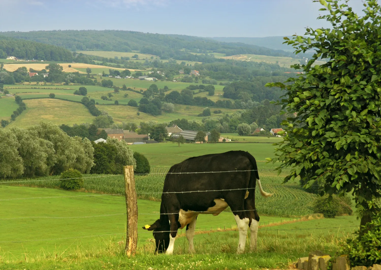 oosterberg-epen-visdz