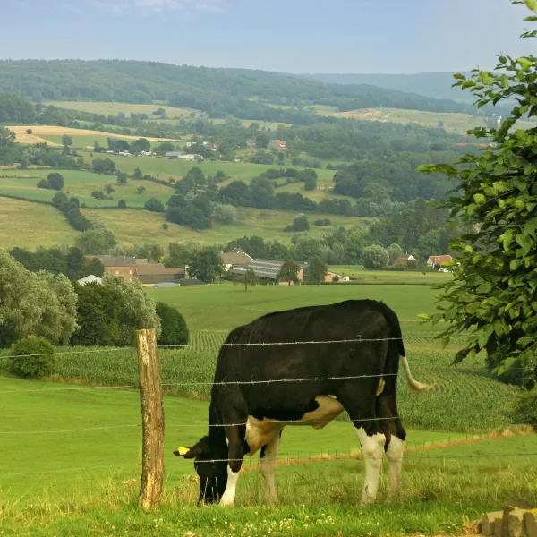 oosterberg-epen-visdz
