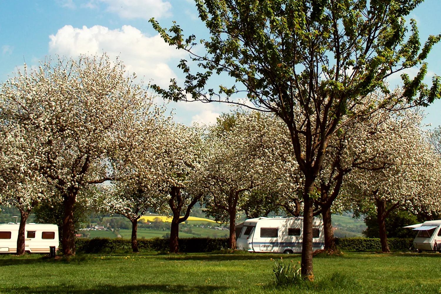 oosterberg-epen-ykh0f