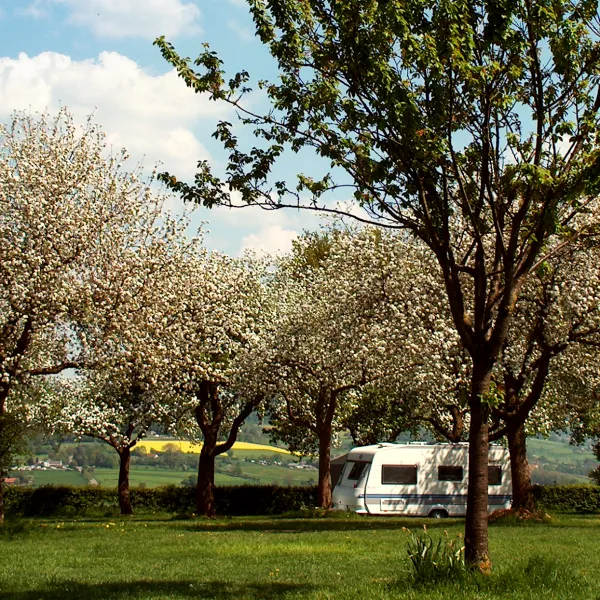 oosterberg-epen-ykh0f