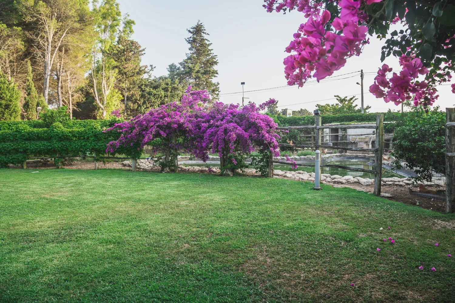 agriturismo-salos-otranto-faiko