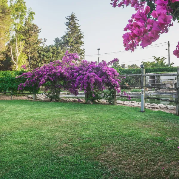 agriturismo-salos-otranto-faiko