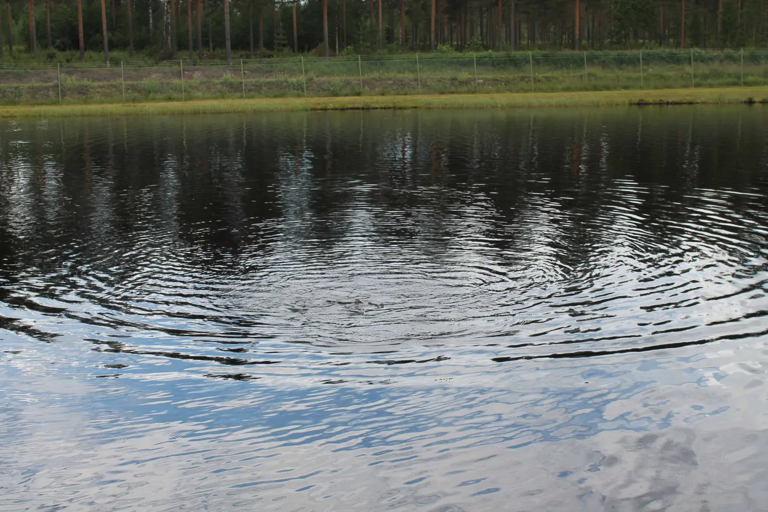 fromhedens-fiskecamp-fromheden-u22bs