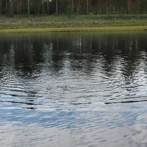 fromhedens-fiskecamp-fromheden-u22bs