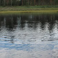 Fromhedens Fiskecamp