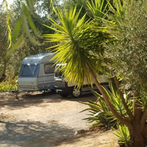 parque-de-campismo-redondo-poo-redondo-19fxb