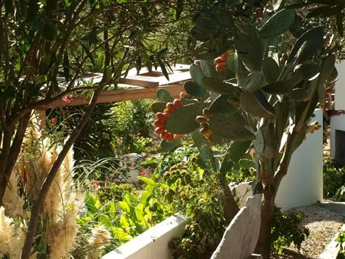 parque-de-campismo-redondo-poo-redondo-gbyoi