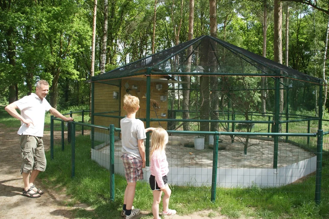 camping-de-schuur-noorderwijk-herentals-5hrw7