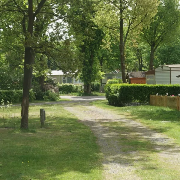 camping-de-schuur-noorderwijk-herentals-slwha