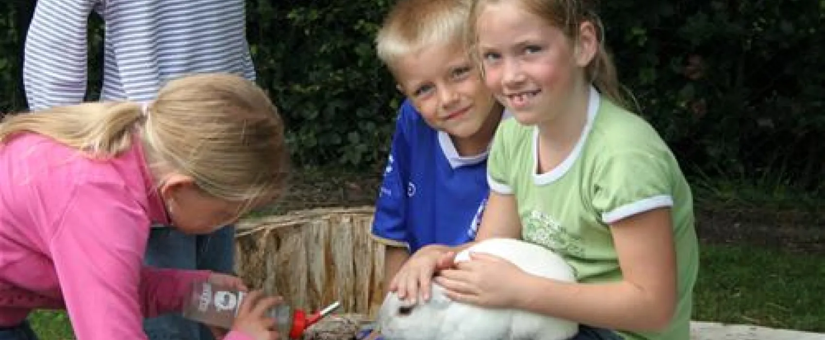 Camping Weide Blik